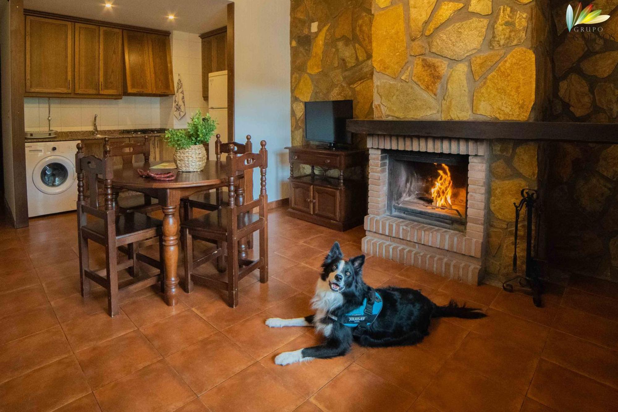 Apartamentos Los Olivos アルカラ・デル・フカル エクステリア 写真